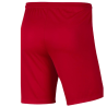SHORT NIKE PARK III