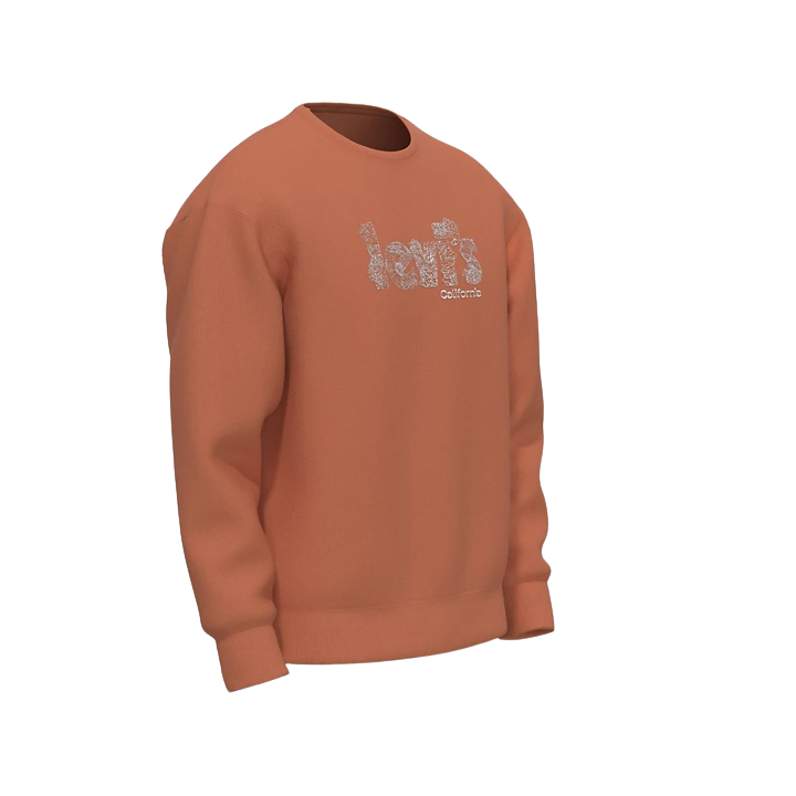 SWEATSHIRT RELAXD GRAPHIC CREW LEVIS SPORT2000 Ploërmel et Locminé
