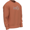 SWEATSHIRT RELAXD GRAPHIC CREW LEVIS SPORT2000 Ploërmel et Locminé