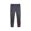PUMA Pantalon d'Entraînement MCFC TRG PNT Homme