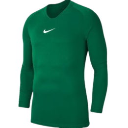 TEE-SHIRT PARK 1 VERT NIKE SPORT2000 Ploërmel et Locminé