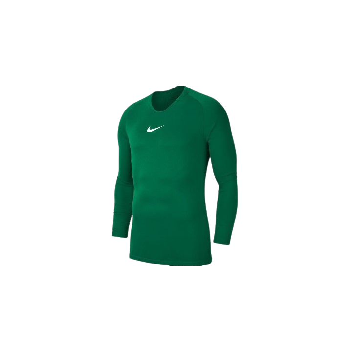 TEE-SHIRT PARK 1 VERT NIKE SPORT2000 Ploërmel et Locminé