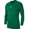 TEE-SHIRT PARK 1 VERT NIKE SPORT2000 Ploërmel et Locminé