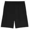 PUMA Short de Football SRFC Replica Homme