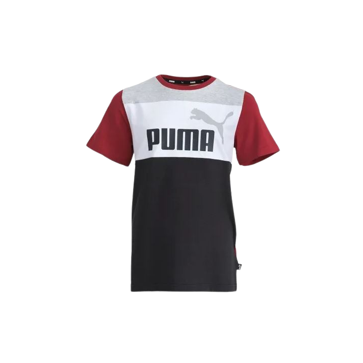 Puma T-shirt B Ess Block Tee Enfant