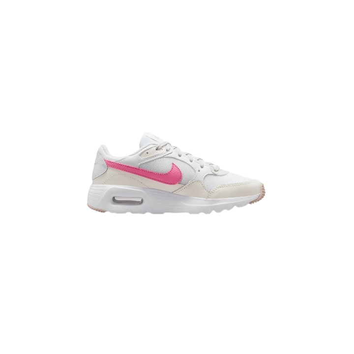 caussures nike air max sc