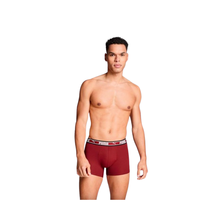 Puma Dual Logo Boxers Homme – Lot de 2 Boxers