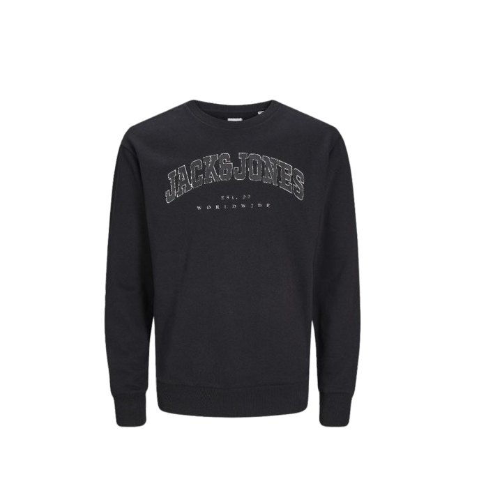 SWEATSHIRT JJECALEB VARSITY
