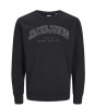 SWEATSHIRT JJECALEB VARSITY