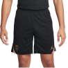 SHORT PSG M NK DF STRK SHORT KZ3R