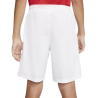 Nike Short Dri-FIT Park III