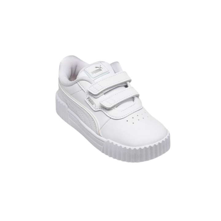 CARINA 3.0 HOLO 2.0 V INF