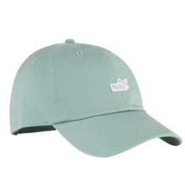 ESS NO. 1 LOGO PATCH BB CAP