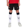 SRFC SHORTS REPLICA