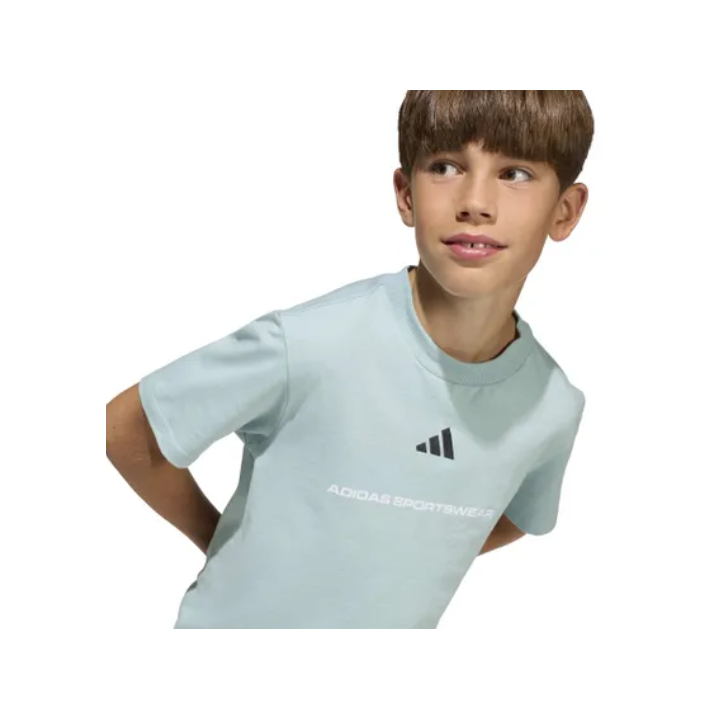 B SJ T
