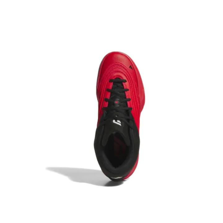 DAME X