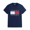 TJM REG BIG FLAG SS