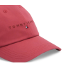TJW LINEAR LOGO 6 PANEL CAP