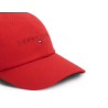 TJM LINEAR LOGO CAP