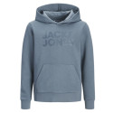 Sweat à Capuche JJECORP Logo NOOS Junior Garçon