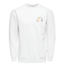 ONSBEC REG CREW NECK SWEAT CS