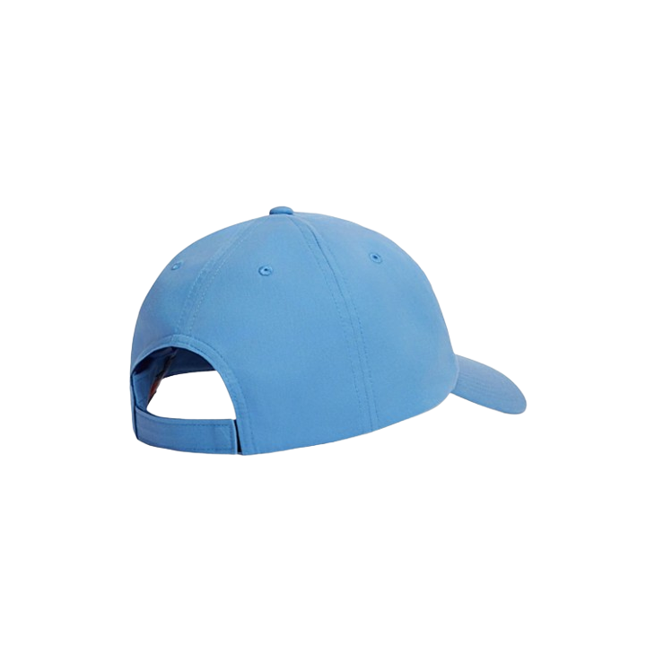 TJM LINEAR LOGO CAP
