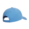 TJM LINEAR LOGO CAP