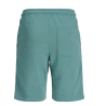 JPSTGORDON BRANDON SWEAT SHORTS JNR