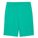 PUMA Short Homme Vert