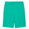 Short Homme Vert PUMA
