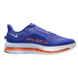 Nike Chaussures Pegasus Premium Homme