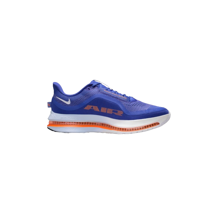 Nike Chaussures Pegasus Premium Homme