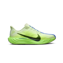 Nike Chaussures Pegasus Plus Homme