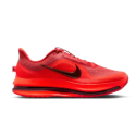 Nike Chaussures Pegasus Premium Homme