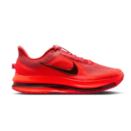 Nike Chaussures Pegasus Premium Homme