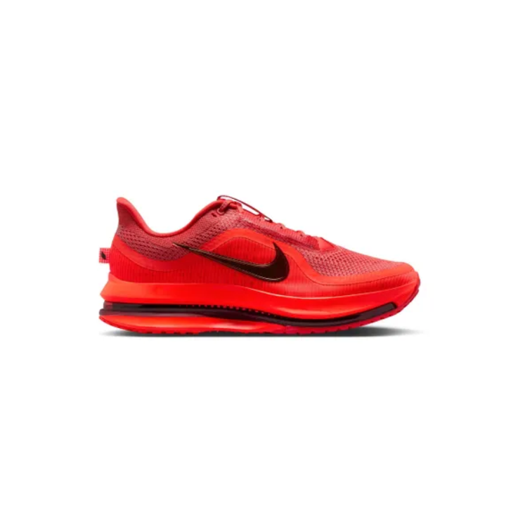 Nike Chaussures Pegasus Premium Homme
