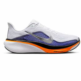 AIR ZOOM PEGASUS 42