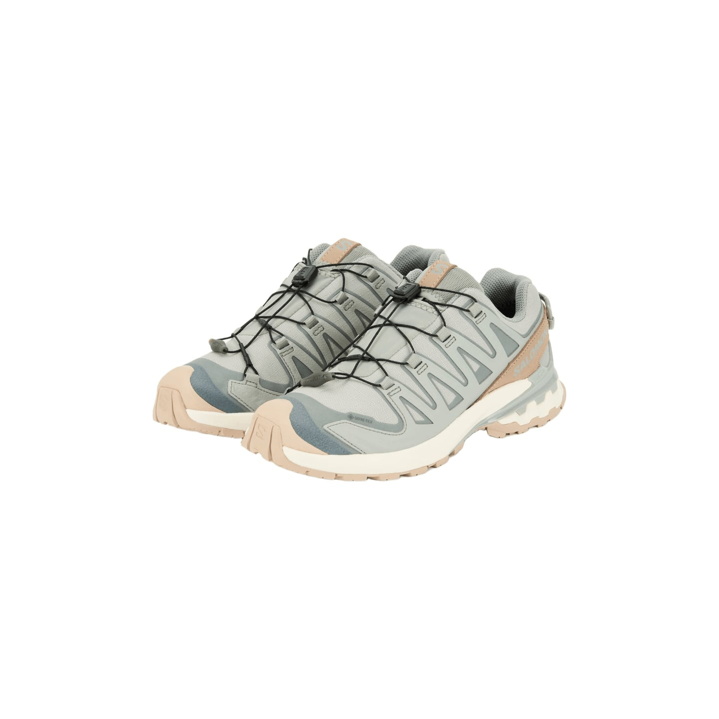 Packshot de la chaussure Salomon Chaussures De Trail Running XA Pro 3D V9 GTX Lifelong Imperméable F
