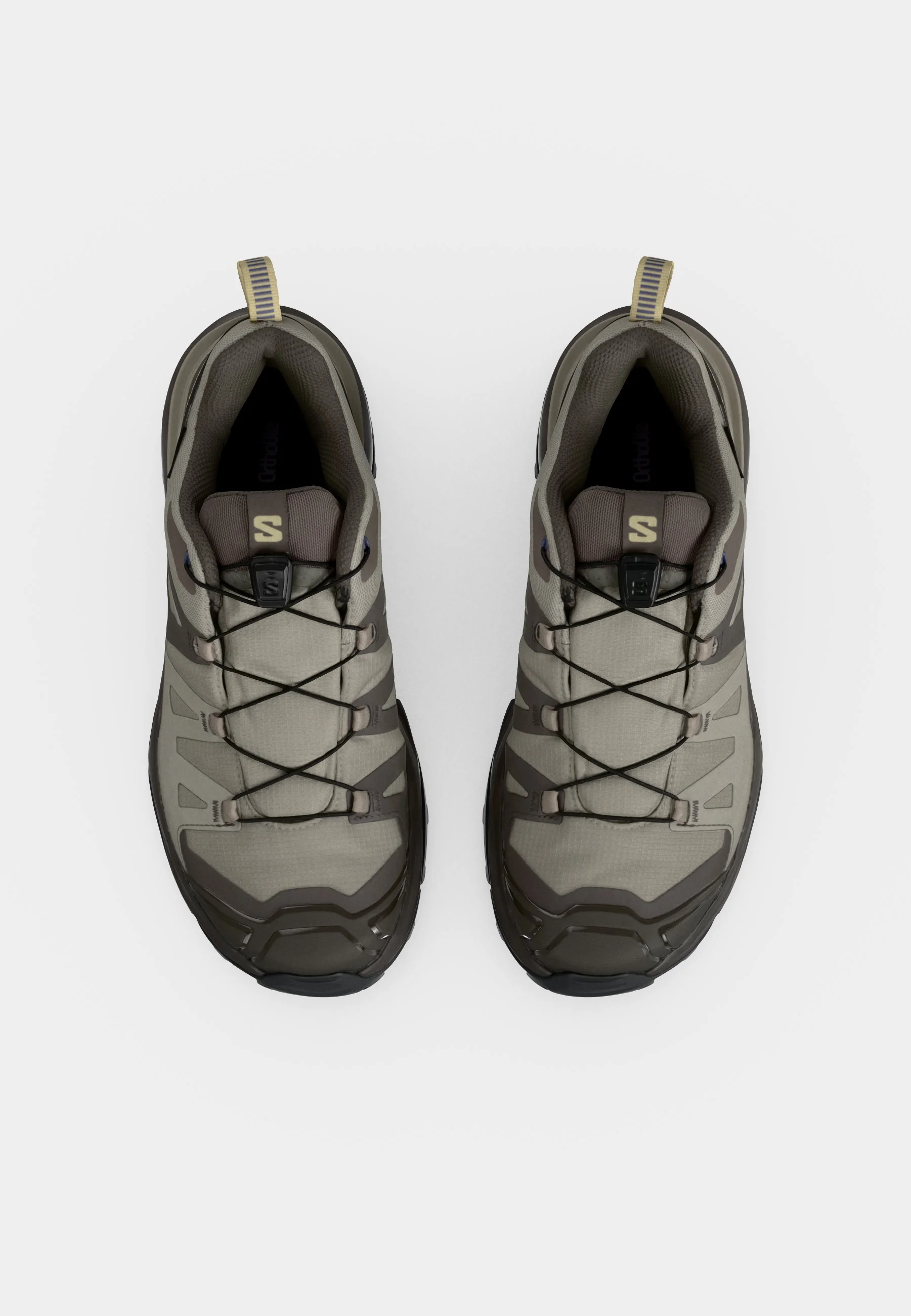 Salomon X Ultra 360 Cuir GORE-TEX : Randonnée imperméable et stable