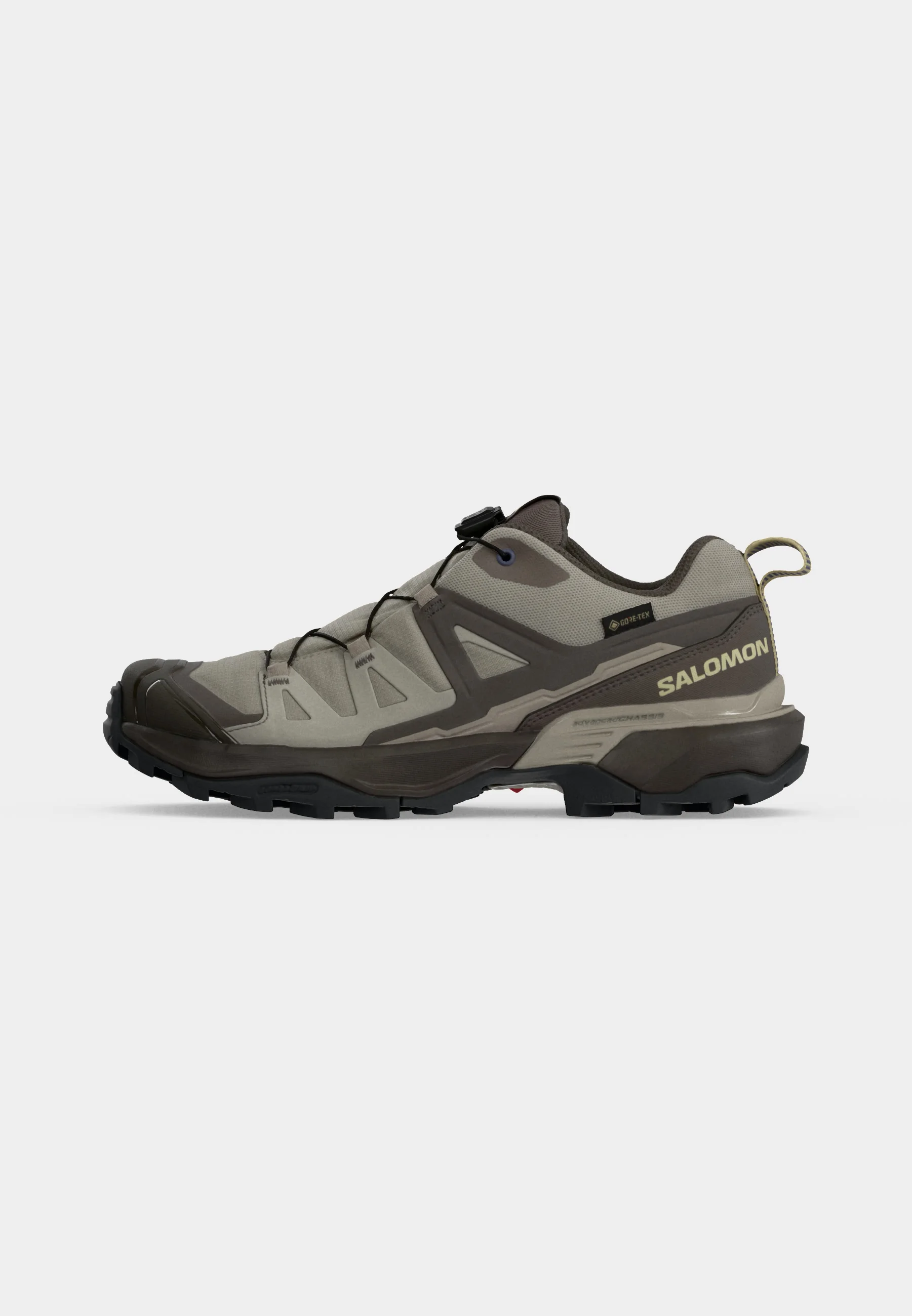 Salomon Chaussures De Randonnée X Ultra 360 Leather Gore-Tex Femme