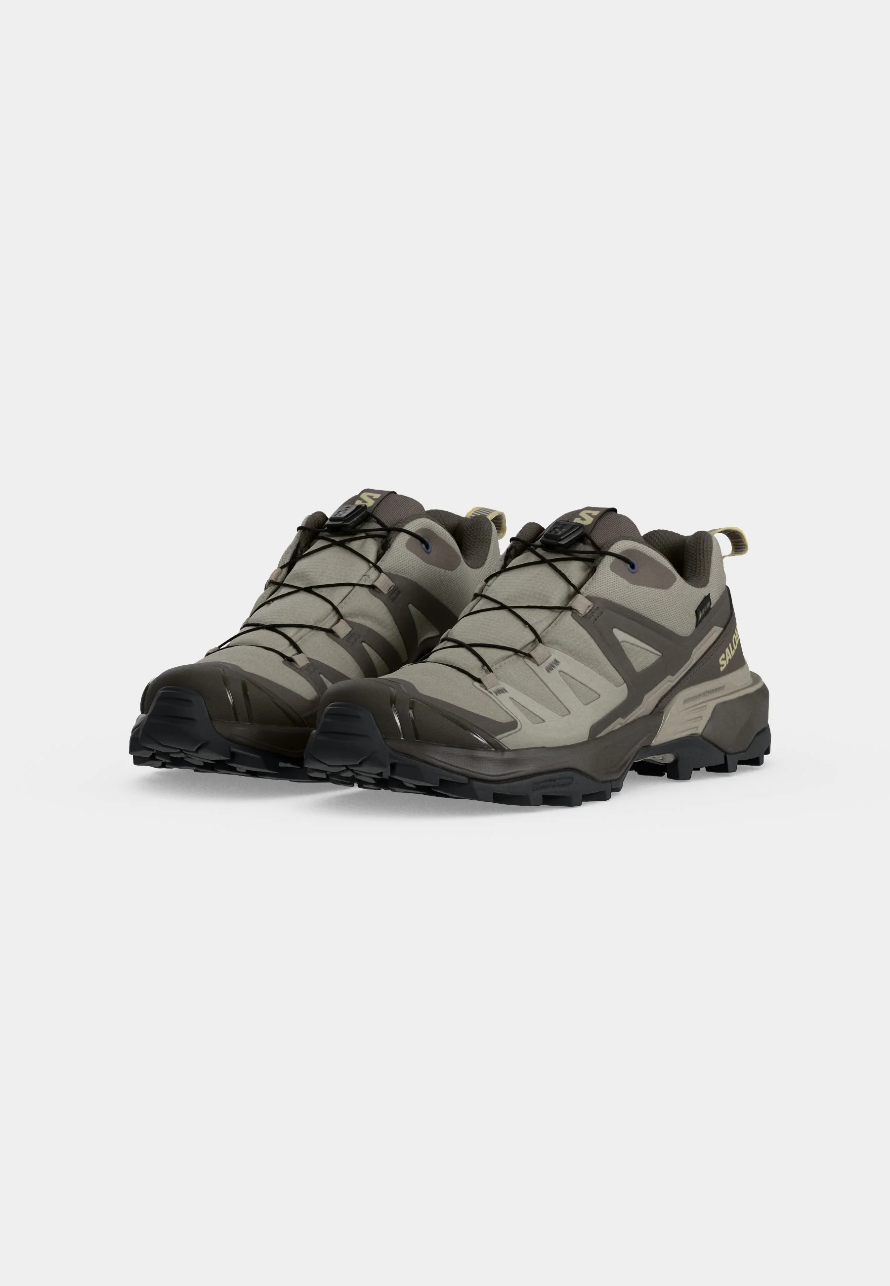 Salomon X Ultra 360 Cuir GORE-TEX : Randonnée imperméable et stable