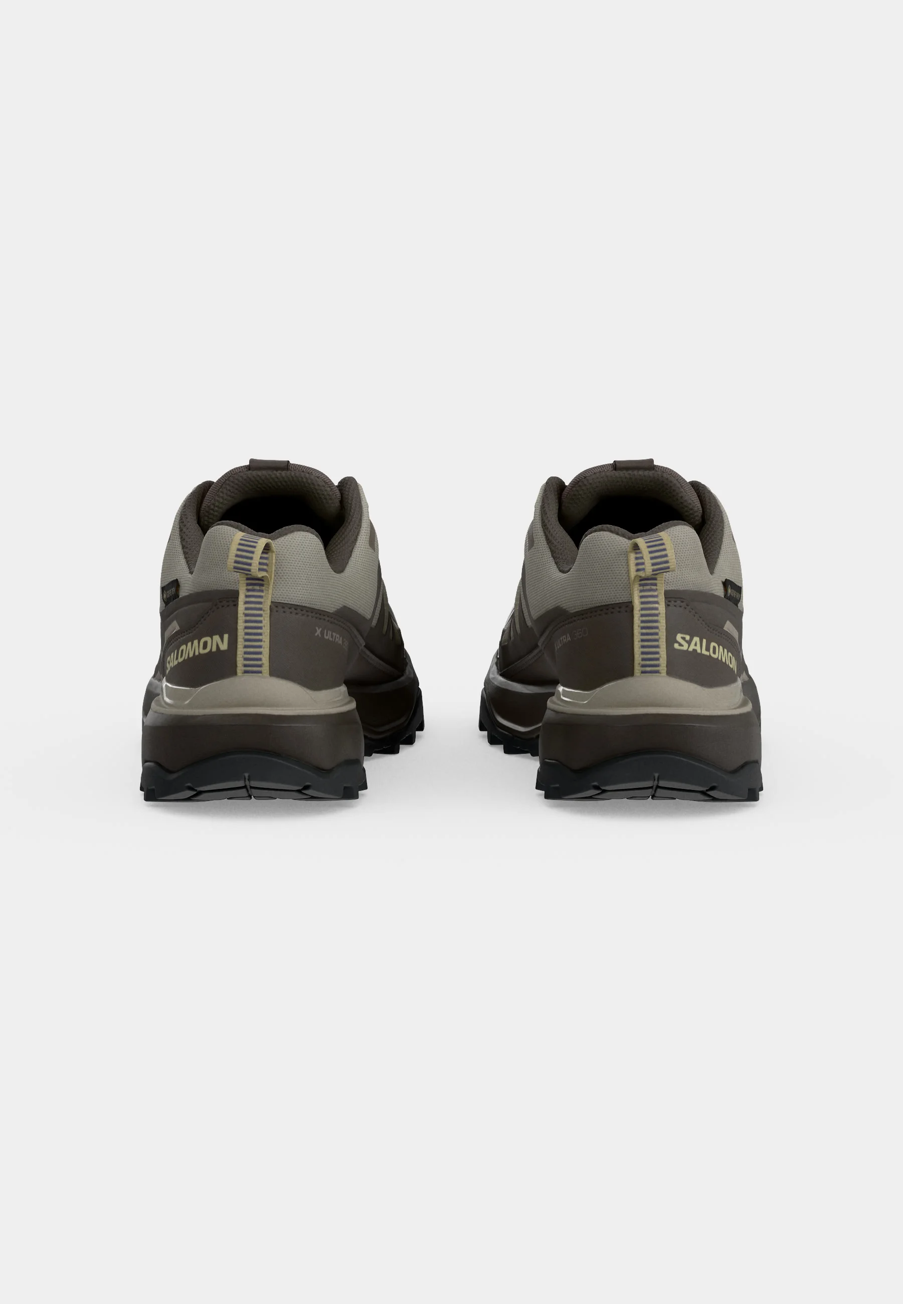 Salomon X Ultra 360 Cuir GORE-TEX : Randonnée imperméable et stable