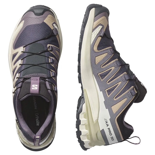 Salomon XA Pro 3D V9 GTX : Trail imperméable et ultra-adhérent