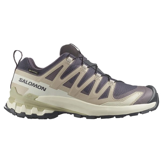Salomon XA Pro 3D V9 GTX : Trail imperméable et ultra-adhérent