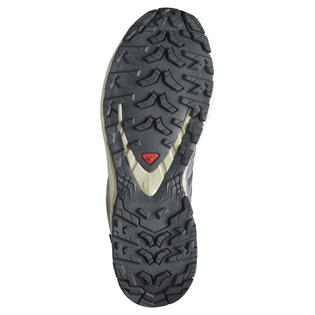 Salomon XA Pro 3D V9 GTX : Trail imperméable et ultra-adhérent