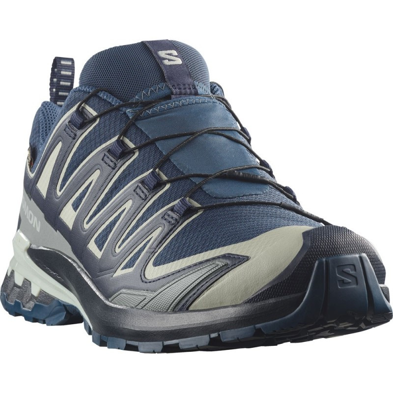 Salomon XA Pro 3D V9 GTX : Trail imperméable et ultra-stable