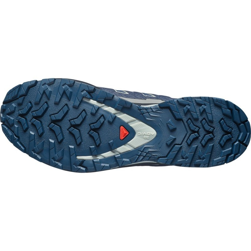 Salomon XA Pro 3D V9 GTX : Trail imperméable et ultra-stable