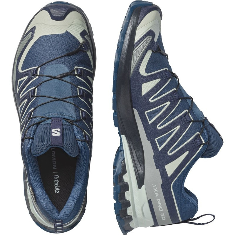 Salomon XA Pro 3D V9 GTX : Trail imperméable et ultra-stable