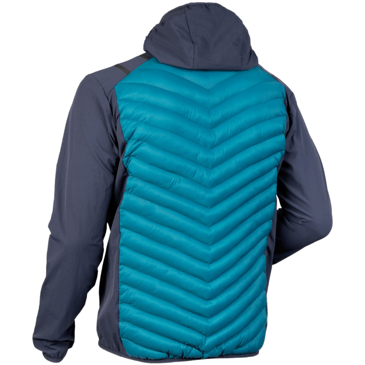 Vue arrière de la veste de randonnée matelassée homme bleu canard et marine, matelassage en chevron 